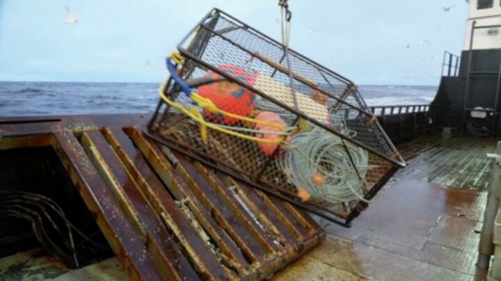 Deadliest Catch S20E11 WEB x264 TORRENTGALAXY