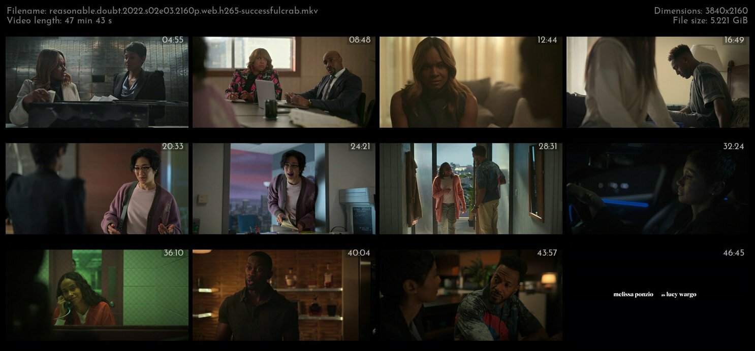 Reasonable Doubt 2022 S02E03 2160p WEB H265 SuccessfulCrab TGx