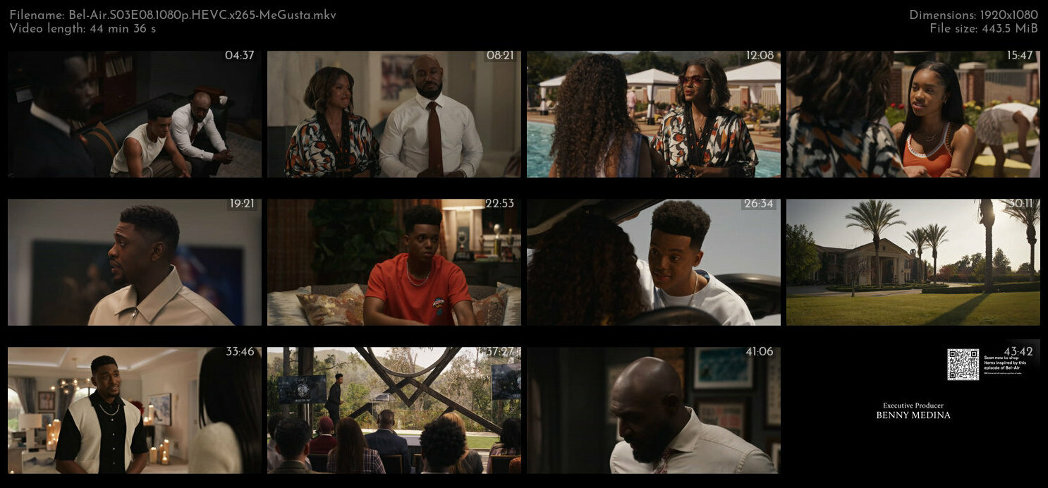 Bel Air S03E08 1080p HEVC x265 MeGusta TGx