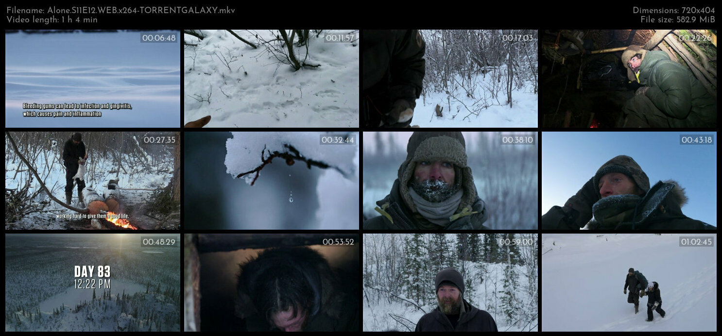 Alone S11E12 WEB x264 TORRENTGALAXY