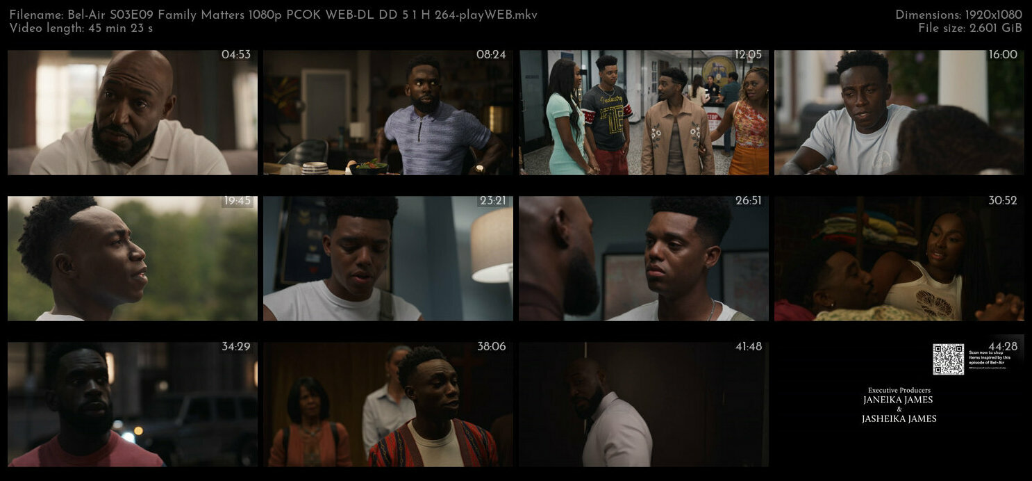 Bel Air S03E09 Family Matters 1080p PCOK WEB DL DD 5 1 H 264 playWEB TGx