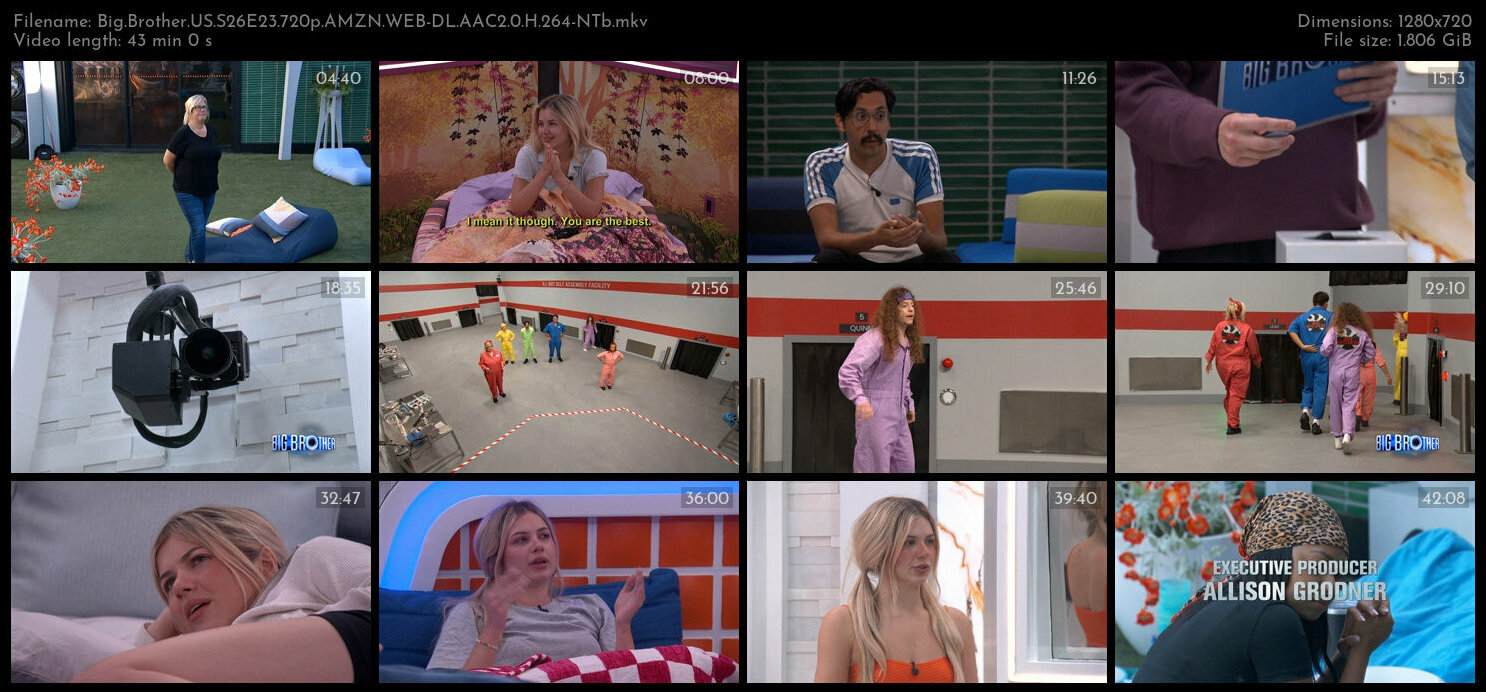 Big Brother US S26E23 720p AMZN WEB DL AAC2 0 H 264 NTb TGx