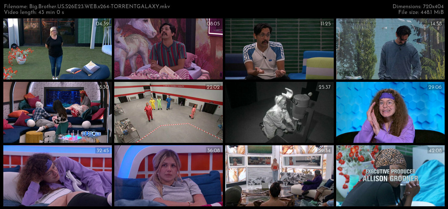 Big Brother US S26E23 WEB x264 TORRENTGALAXY