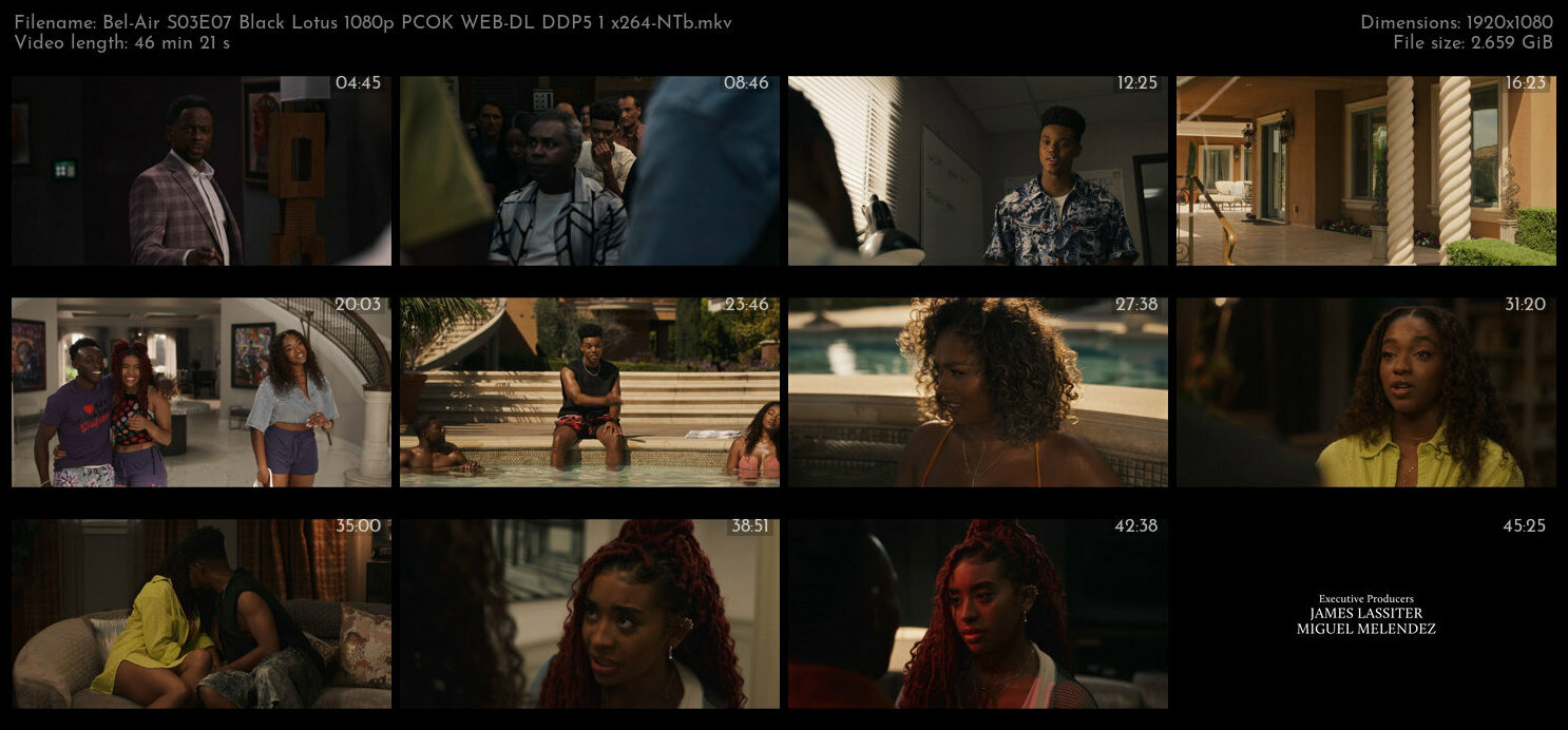 Bel Air S03E07 Black Lotus 1080p PCOK WEB DL DDP5 1 x264 NTb TGx