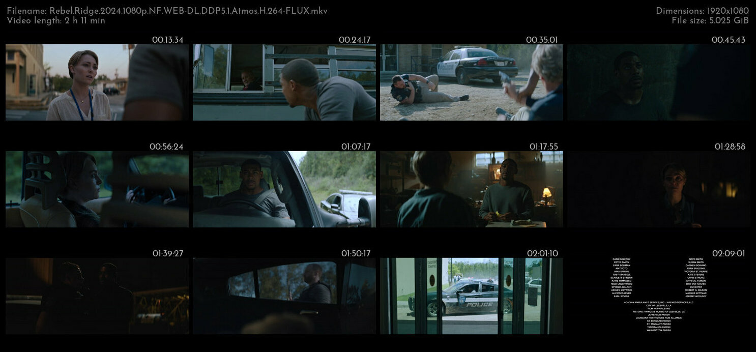 Rebel Ridge 2024 1080p NF WEB DL DDP5 1 Atmos H 264 FLUX TGx