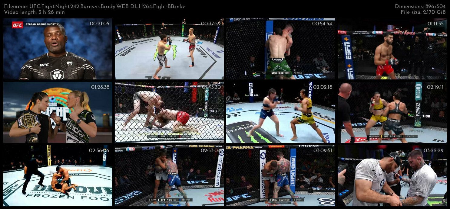 UFC Fight Night 242 Burns vs Brady WEB DL H264 Fight BB