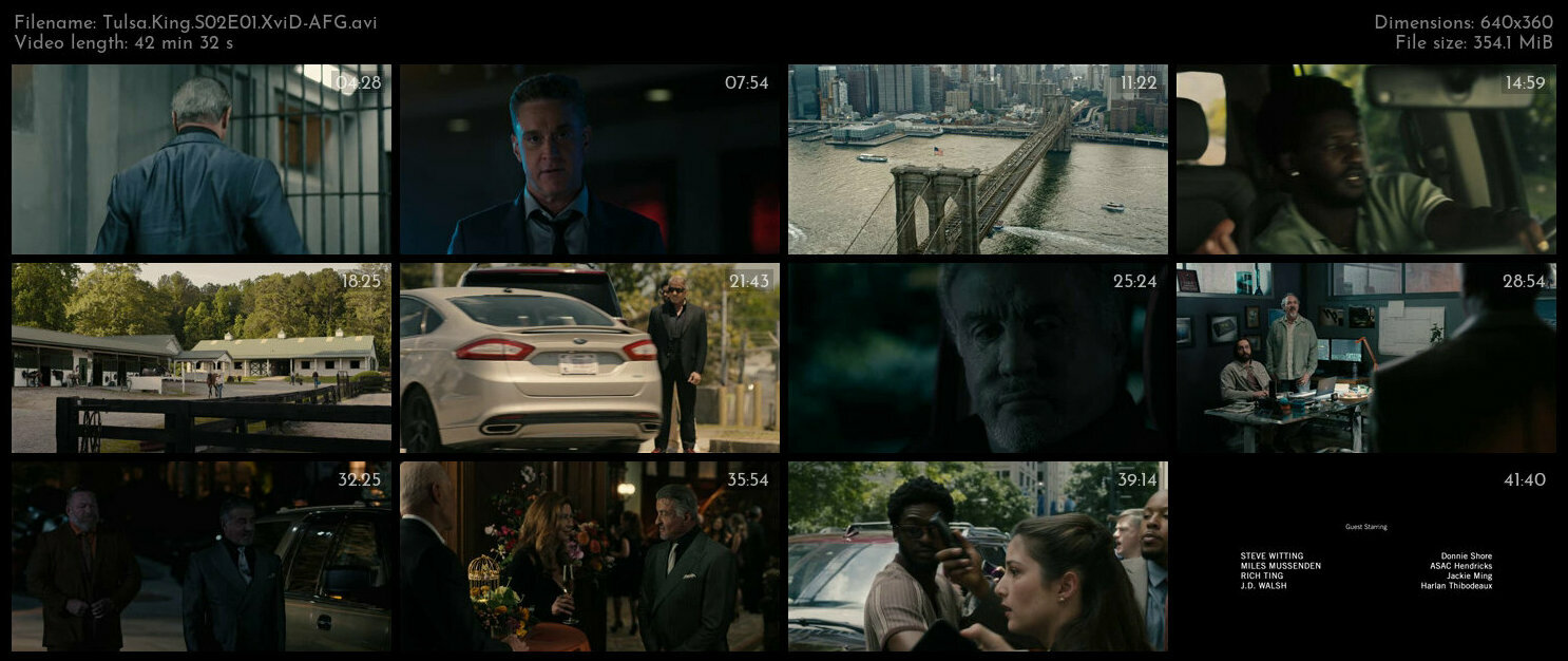 Tulsa King S02E01 XviD AFG TGx