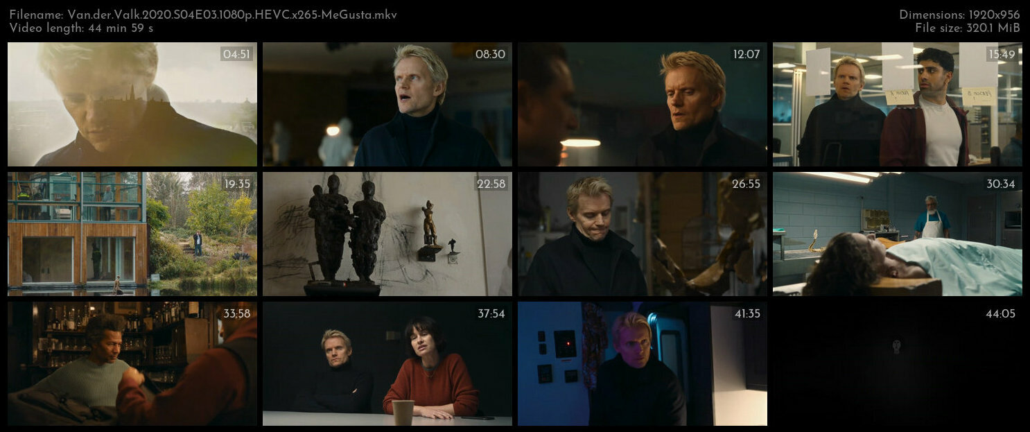 Van der Valk 2020 S04E03 1080p HEVC x265 MeGusta TGx