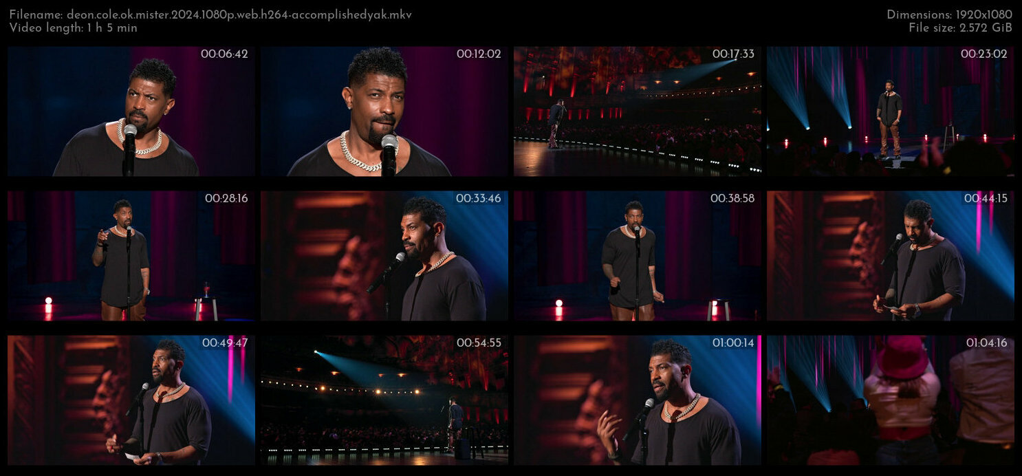 Deon Cole Ok Mister 2024 1080p WEB H264 AccomplishedYak TGx