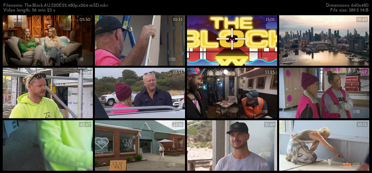 The Block AU S20E22 480p x264 mSD TGx