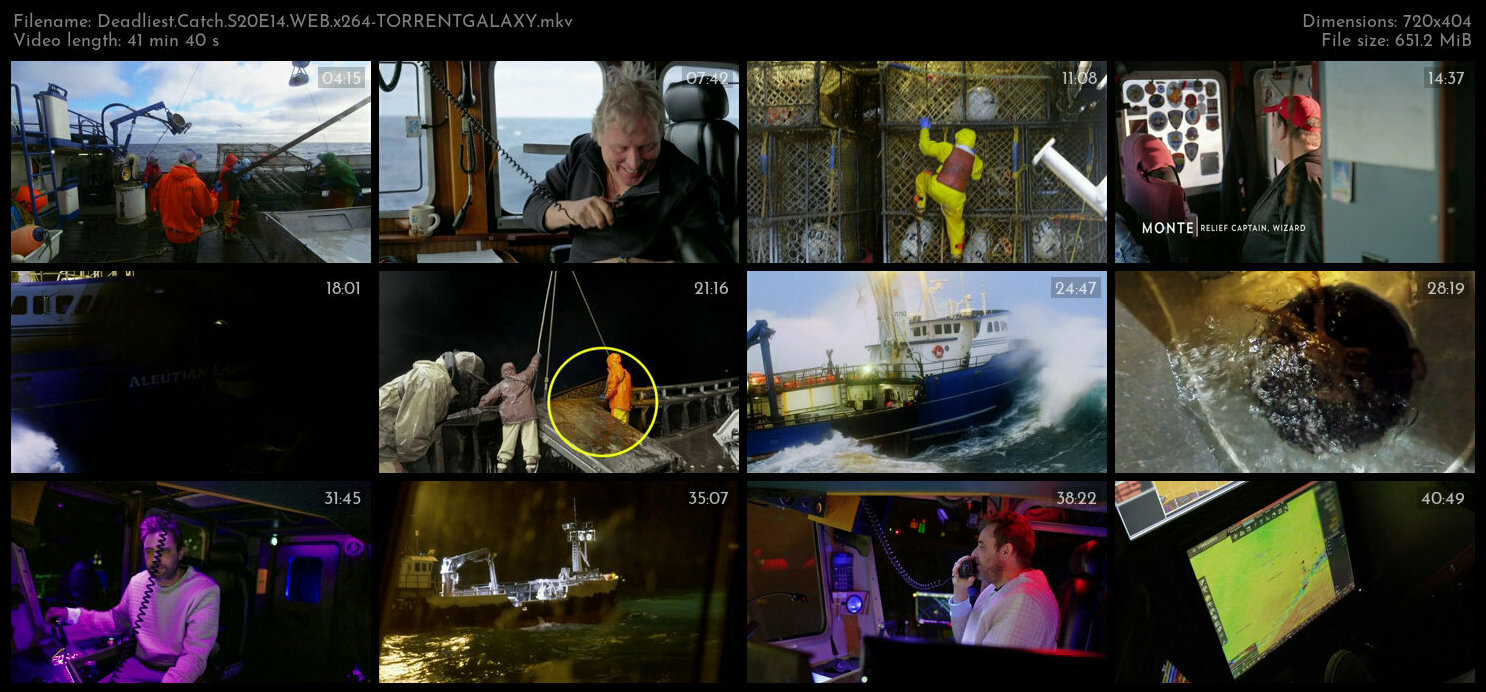 Deadliest Catch S20E14 WEB x264 TORRENTGALAXY