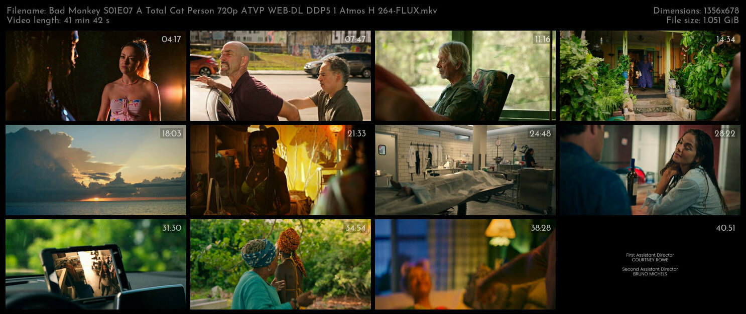 Bad Monkey S01E07 A Total Cat Person 720p ATVP WEB DL DDP5 1 Atmos H 264 FLUX TGx