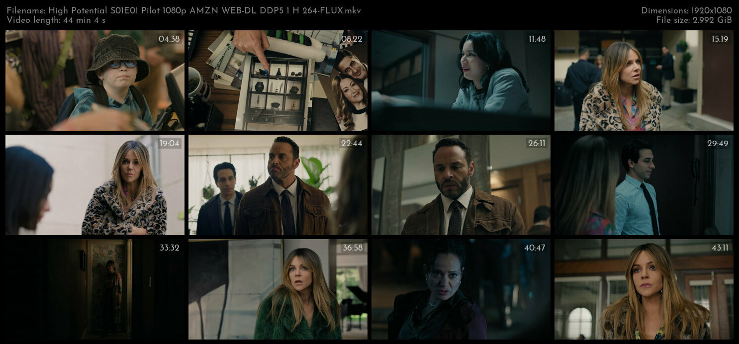 High Potential S01E01 Pilot 1080p AMZN WEB DL DDP5 1 H 264 FLUX TGx