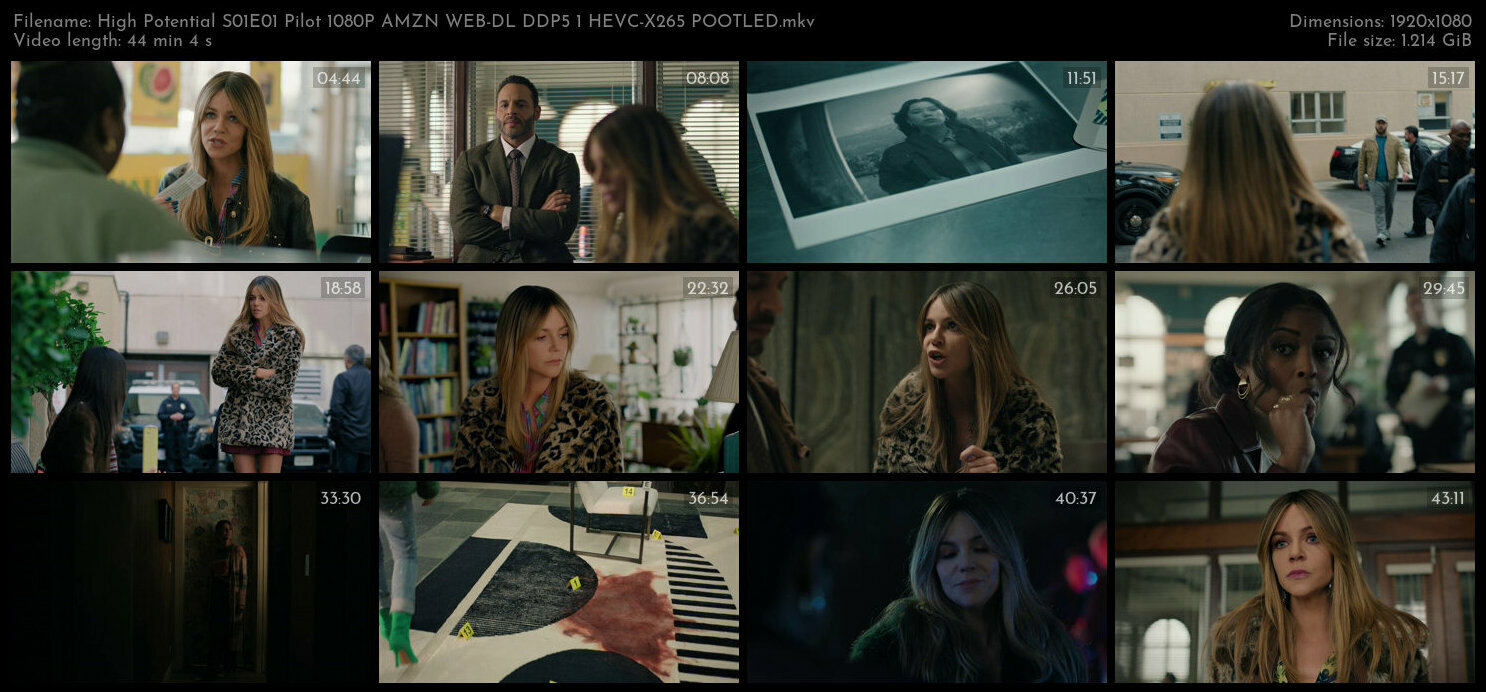 High Potential S01E01 Pilot 1080P AMZN WEB DL DDP5 1 HEVC X265 POOTLED TGx