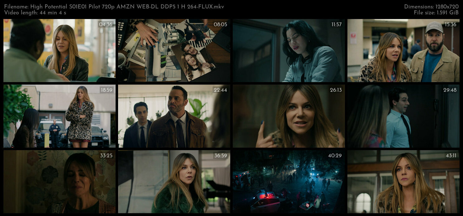 High Potential S01E01 Pilot 720p AMZN WEB DL DDP5 1 H 264 FLUX TGx