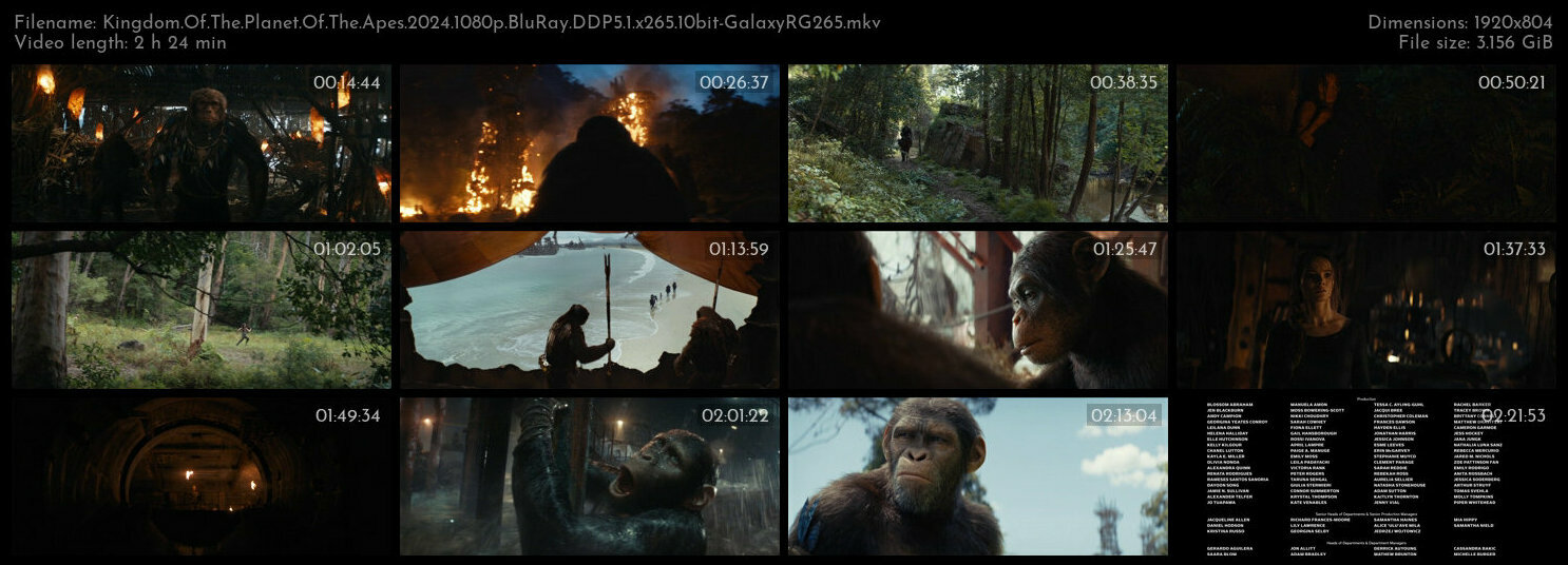 Kingdom Of The Planet Of The Apes 2024 1080p BluRay DDP5 1 x265 10bit GalaxyRG265