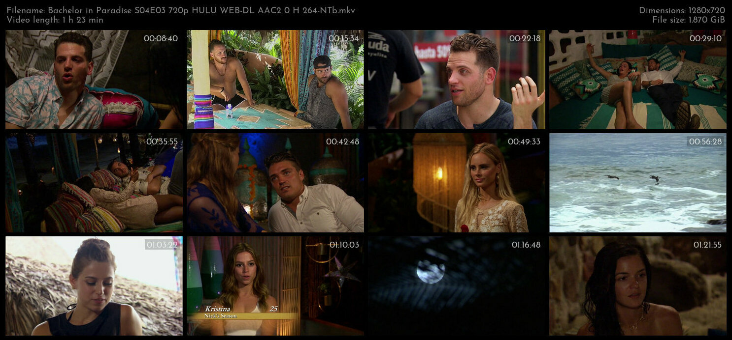 Bachelor in Paradise S04E03 720p HULU WEB DL AAC2 0 H 264 NTb TGx