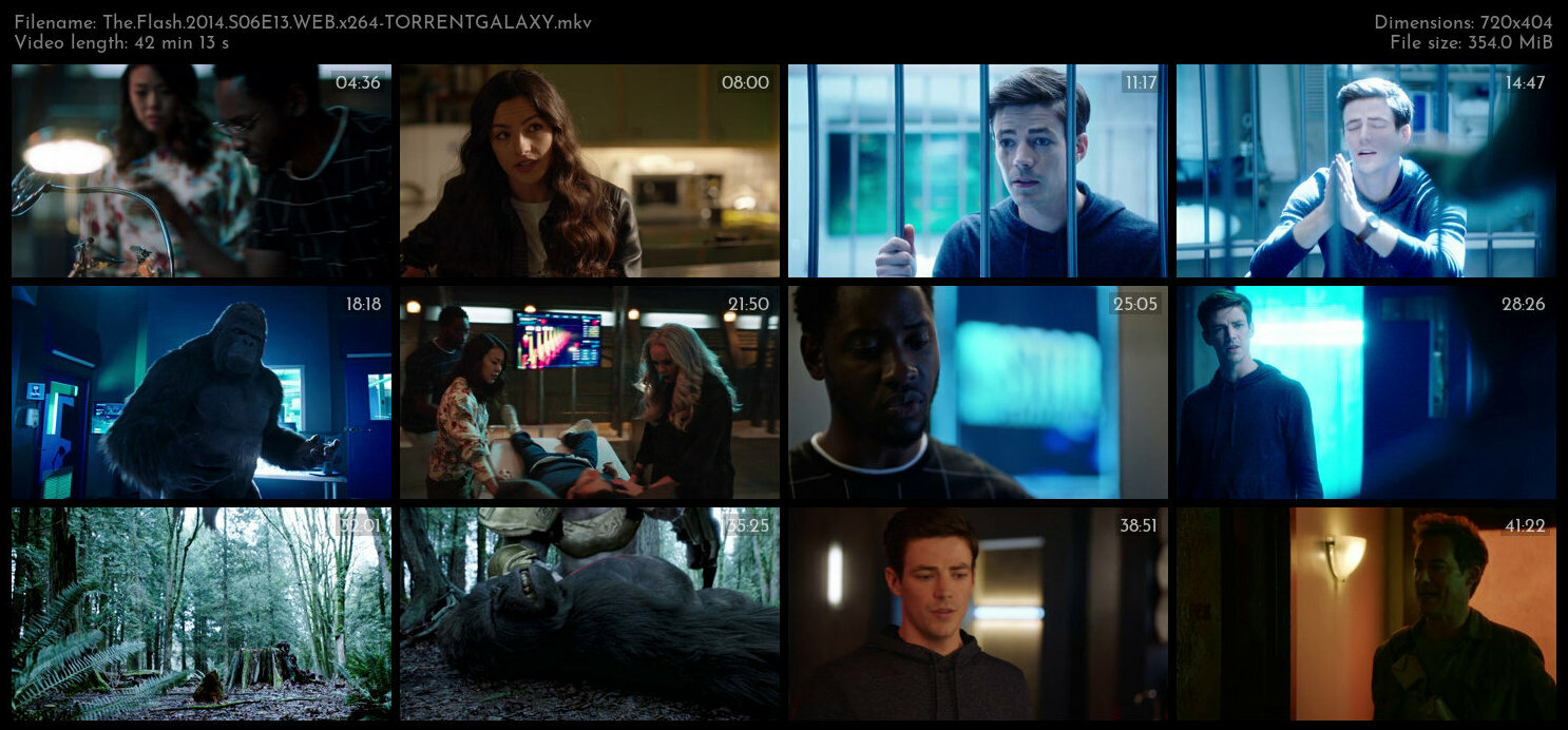 The Flash 2014 S06E13 WEB x264 TORRENTGALAXY