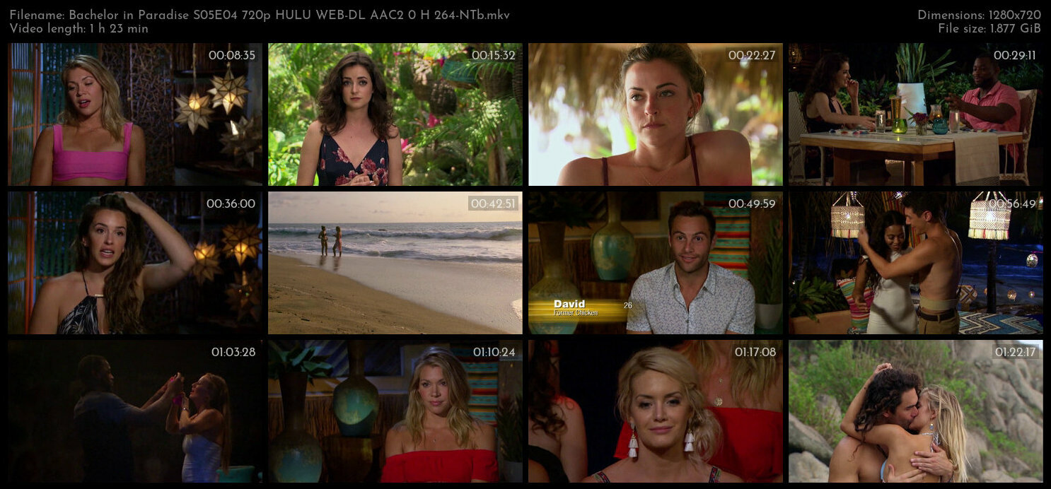 Bachelor in Paradise S05E04 720p HULU WEB DL AAC2 0 H 264 NTb TGx