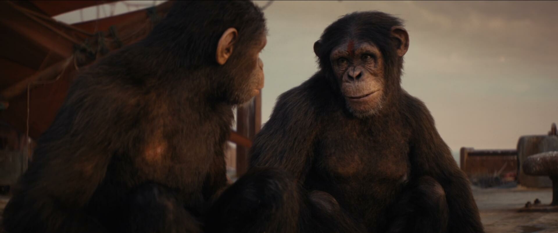 Kingdom Of The Planet Of The Apes 2024 1080p BluRay DDP5 1 x265 10bit GalaxyRG265