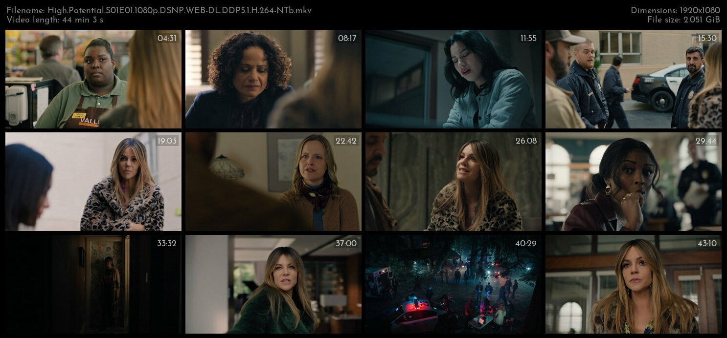 High Potential S01E01 1080p DSNP WEB DL DDP5 1 H 264 NTb TGx