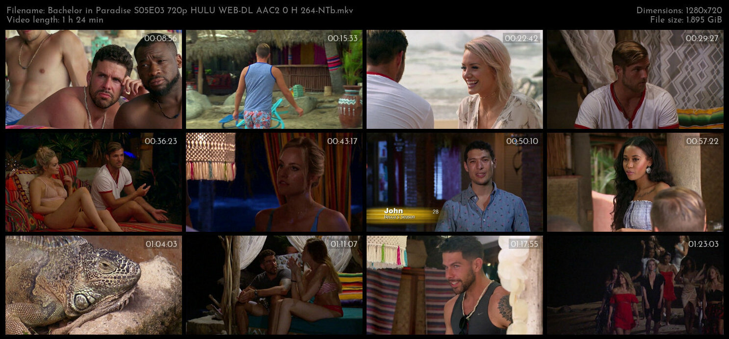 Bachelor in Paradise S05E03 720p HULU WEB DL AAC2 0 H 264 NTb TGx