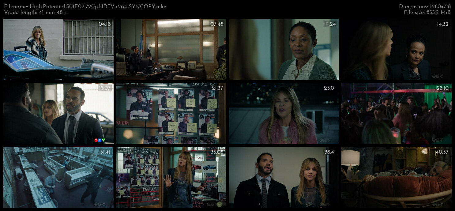 High Potential S01E02 720p HDTV x264 SYNCOPY TGx