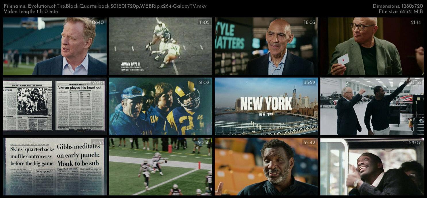 Evolution of The Black Quarterback S01 COMPLETE 720p WEBRip x264 GalaxyTV