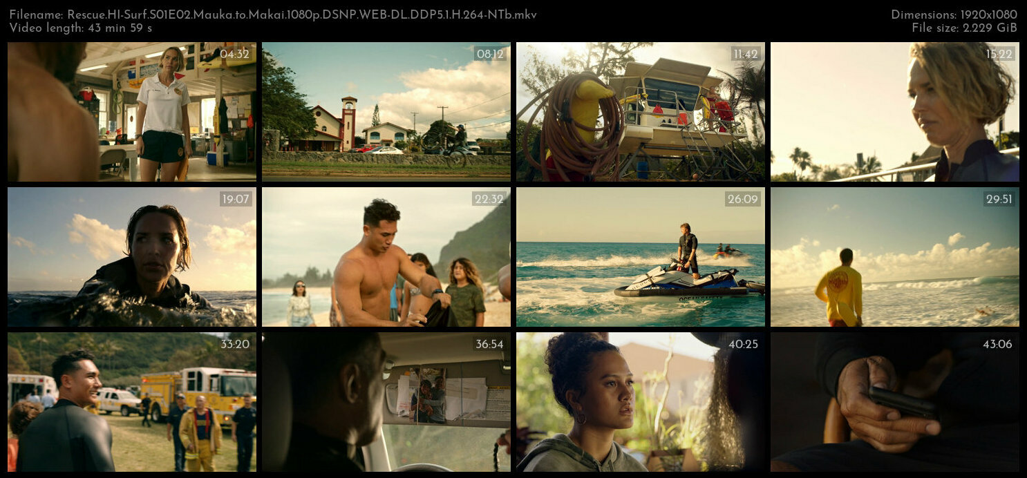 Rescue HI Surf S01E02 Mauka to Makai 1080p DSNP WEB DL DDP5 1 H 264 NTb TGx