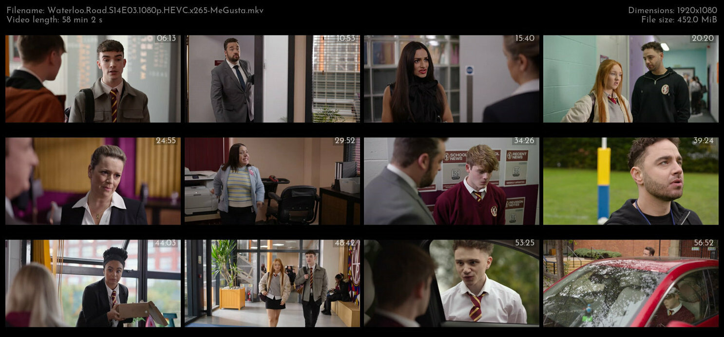 Waterloo Road S14E03 1080p HEVC x265 MeGusta TGx