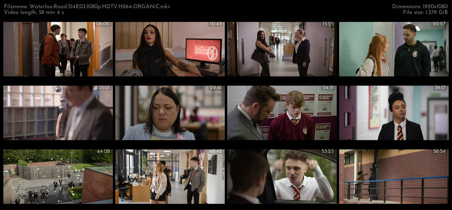 Waterloo Road S14E03 1080p HDTV H264 ORGANiC TGx