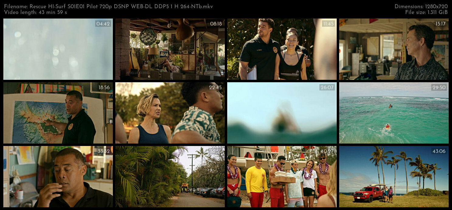 Rescue HI Surf S01E01 Pilot 720p DSNP WEB DL DDP5 1 H 264 NTb TGx