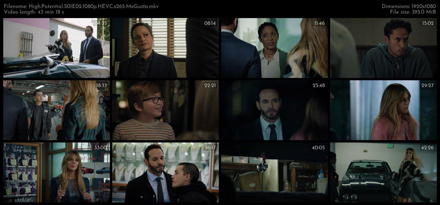 High Potential S01E02 1080p HEVC x265 MeGusta TGx