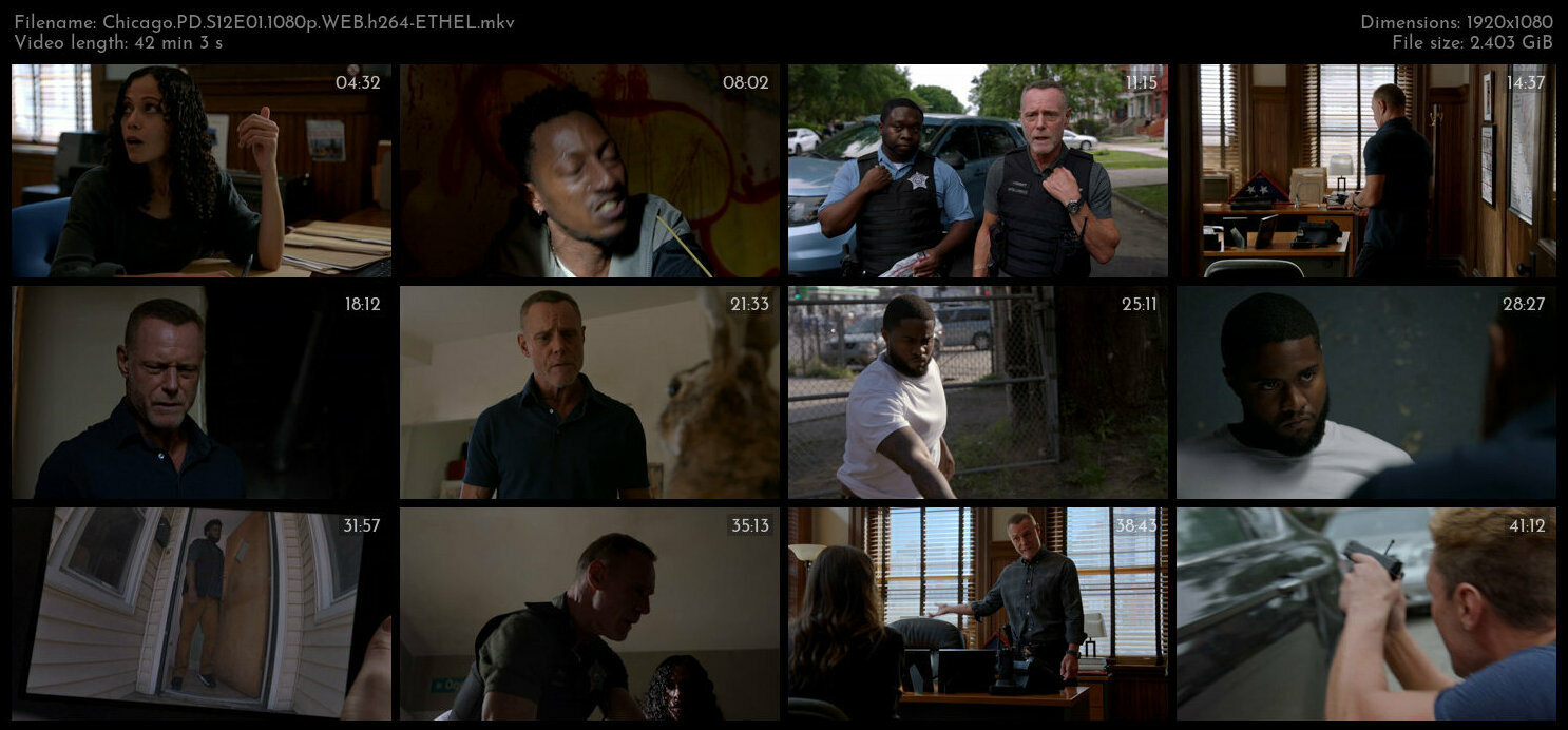 Chicago PD S12E01 1080p WEB h264 ETHEL TGx