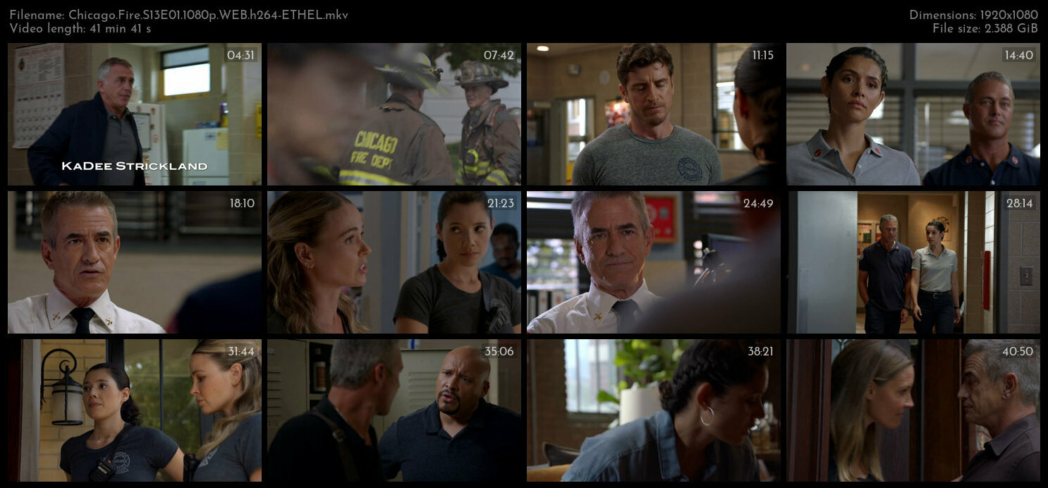 Chicago Fire S13E01 1080p WEB h264 ETHEL TGx