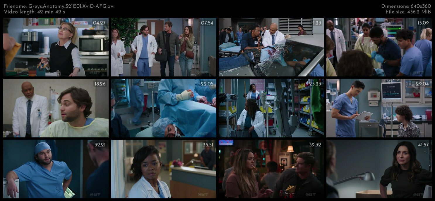 Greys Anatomy S21E01 XviD AFG TGx