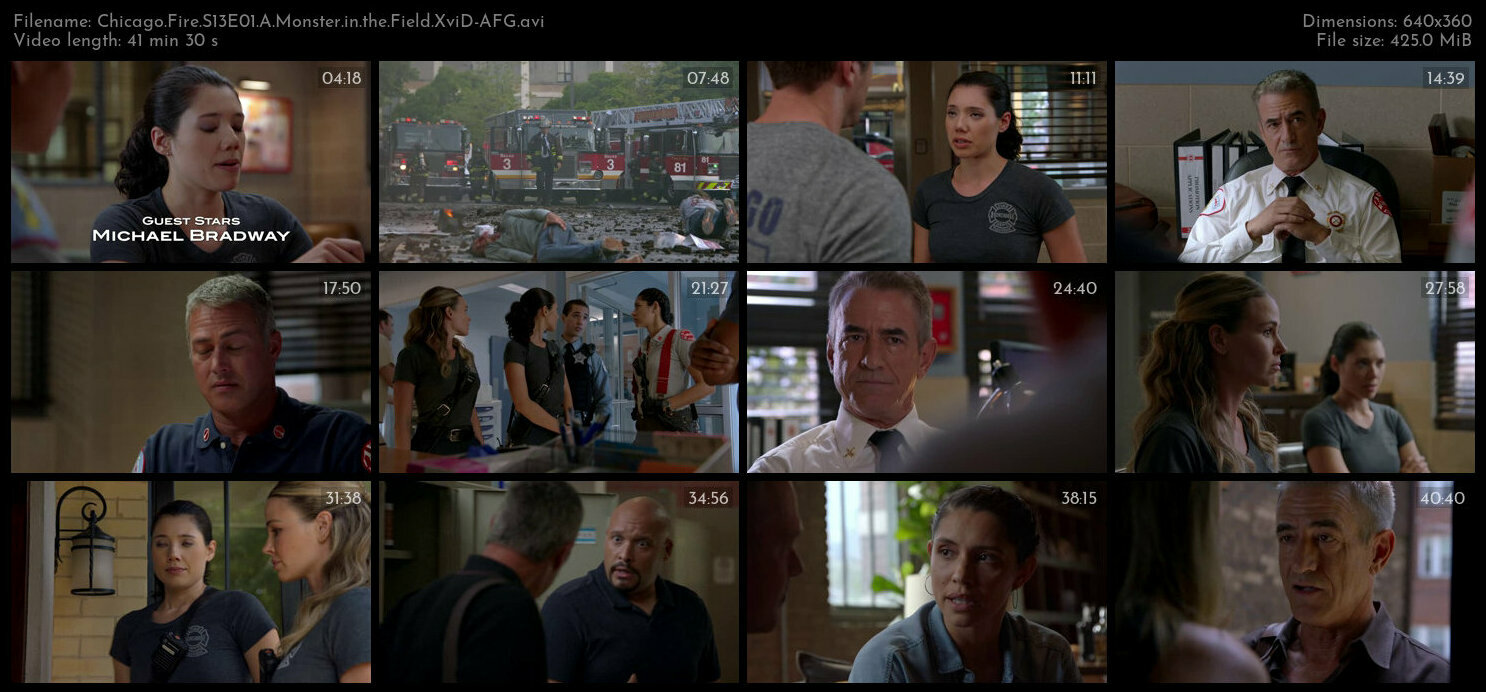 Chicago Fire S13E01 A Monster in the Field XviD AFG TGx