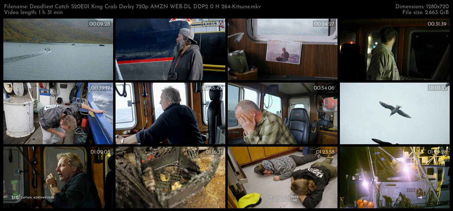 Deadliest Catch S20E01 King Crab Derby 720p AMZN WEB DL DDP2 0 H 264 Kitsune TGx