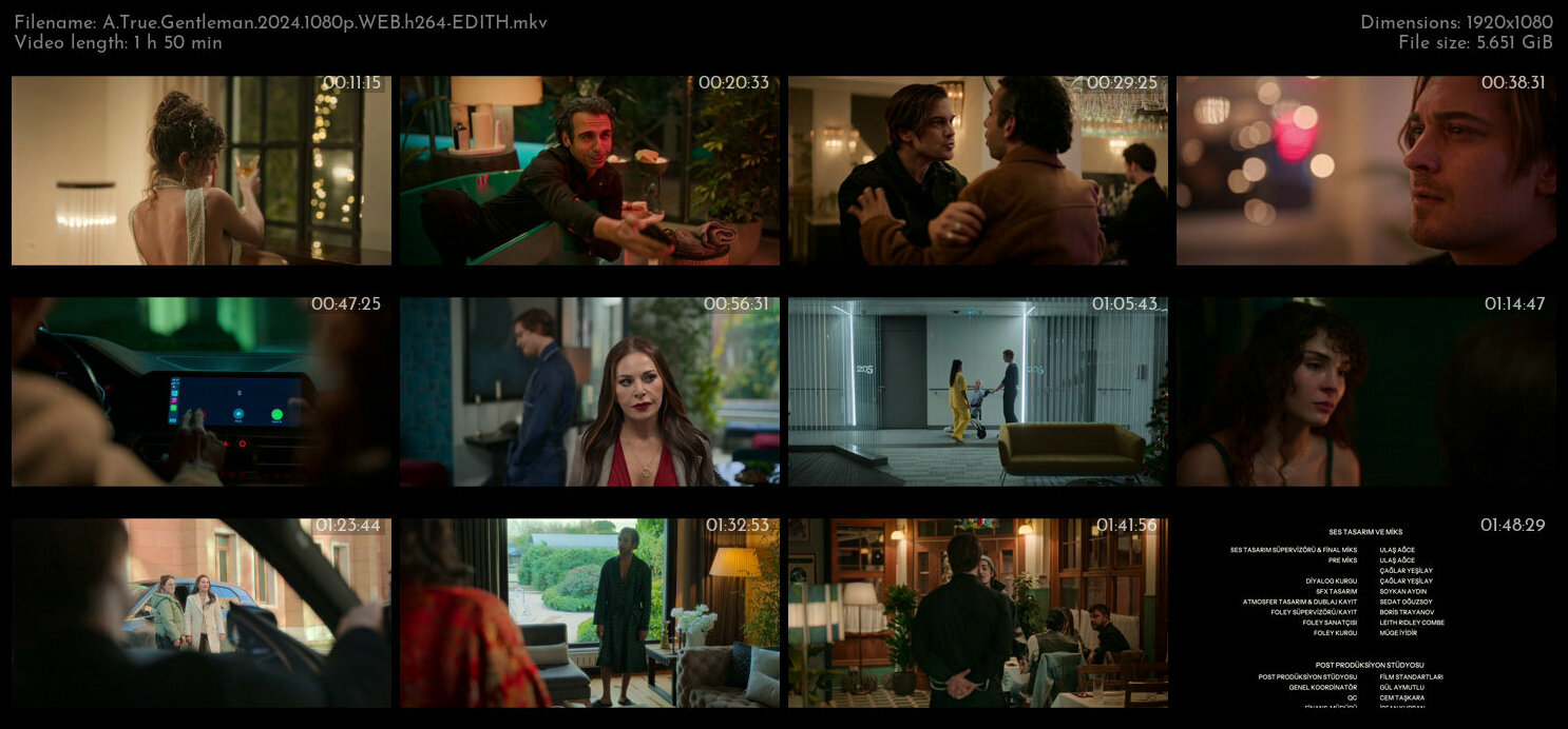 A True Gentleman 2024 1080p WEB h264 EDITH TGx