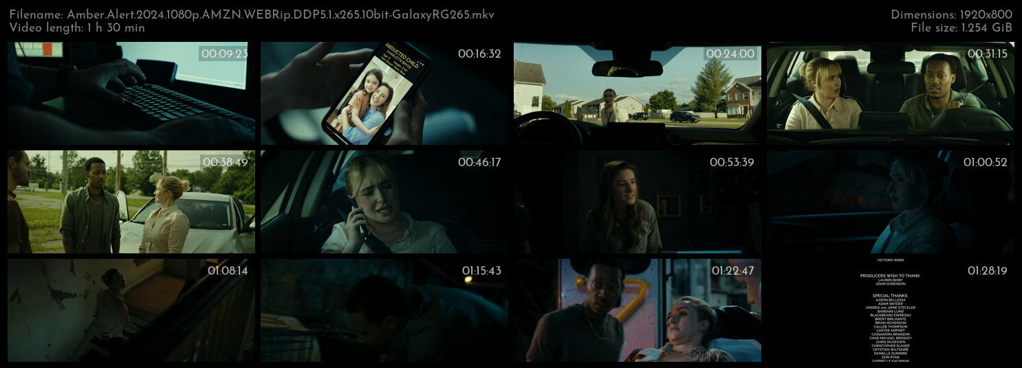 Amber Alert 2024 1080p AMZN WEBRip DDP5 1 x265 10bit GalaxyRG265