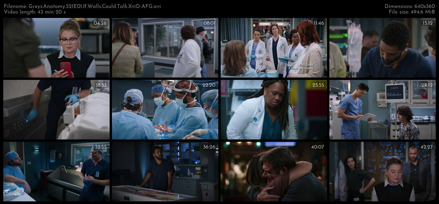 Greys Anatomy S21E01 If Walls Could Talk XviD AFG TGx