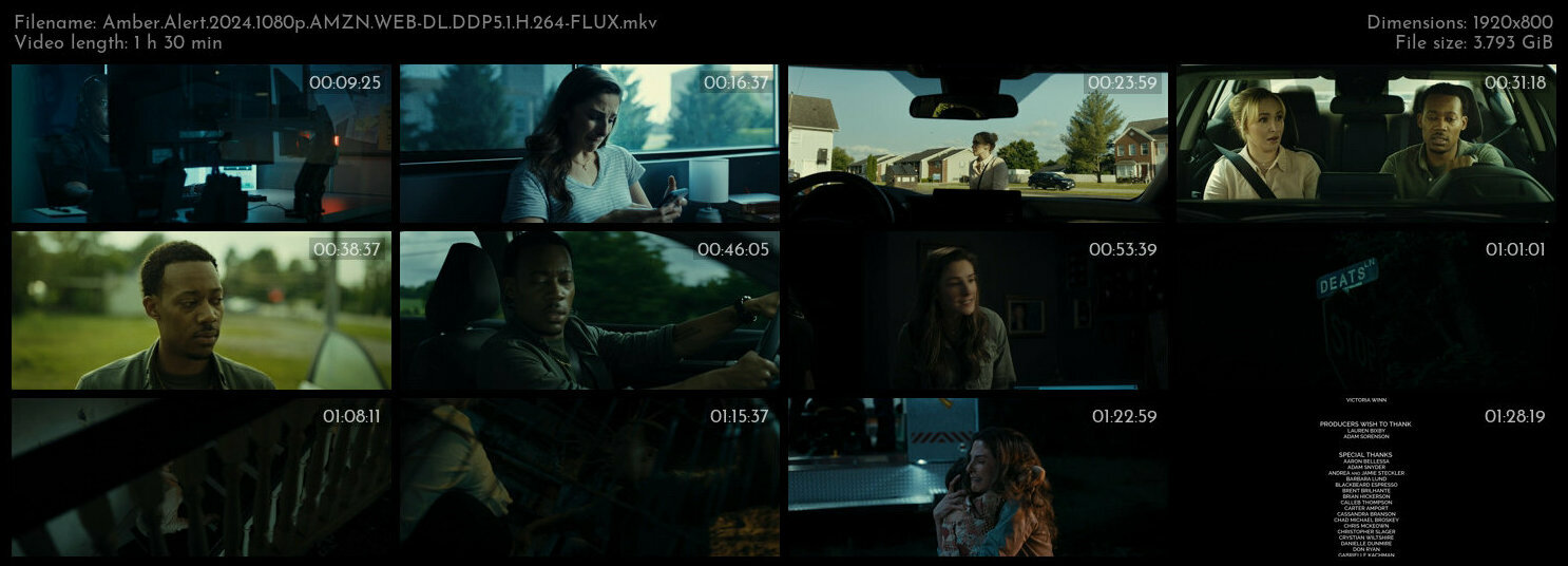 Amber Alert 2024 1080p AMZN WEB DL DDP5 1 H 264 FLUX TGx