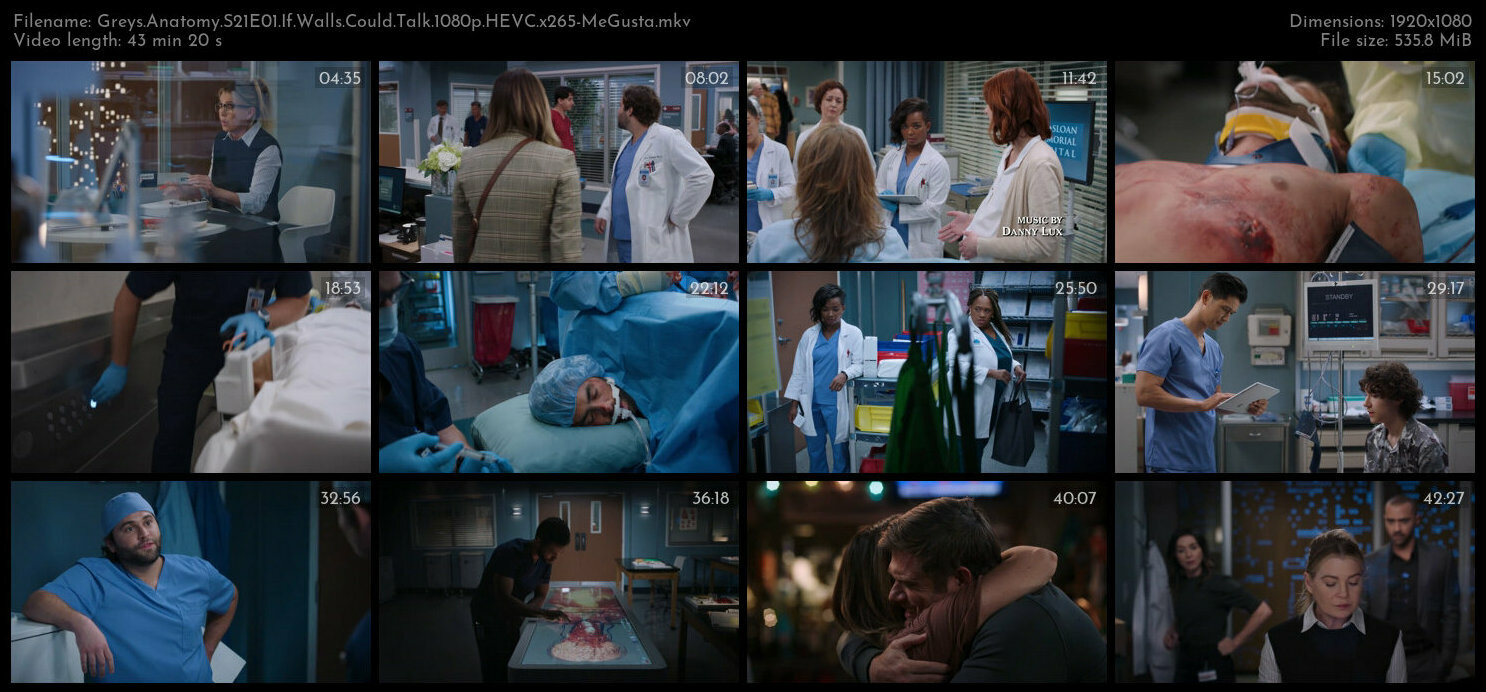 Greys Anatomy S21E01 If Walls Could Talk 1080p HEVC x265 MeGusta TGx