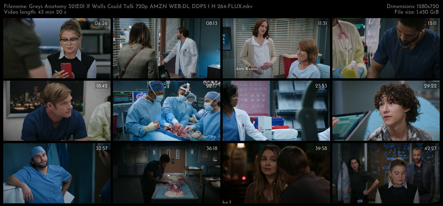 Greys Anatomy S21E01 If Walls Could Talk 720p AMZN WEB DL DDP5 1 H 264 FLUX TGx