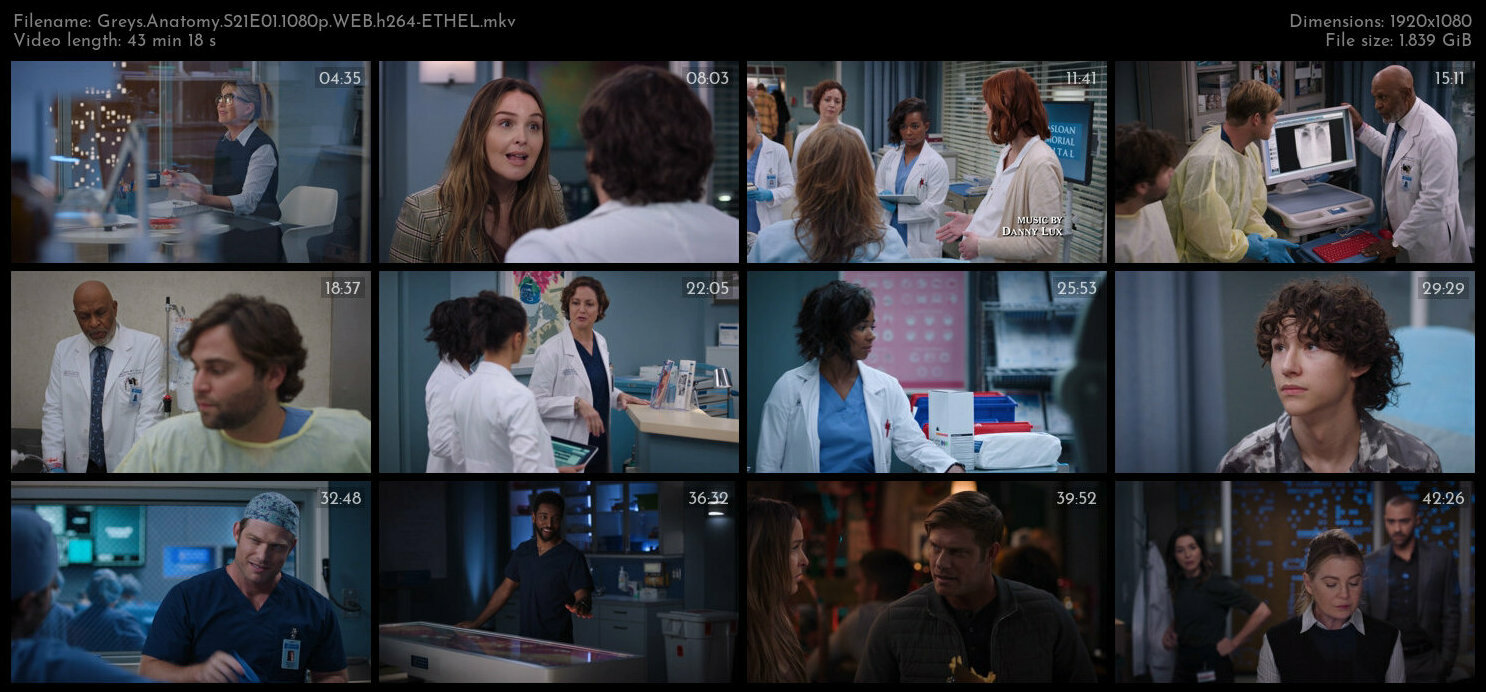 Greys Anatomy S21E01 1080p WEB h264 ETHEL TGx