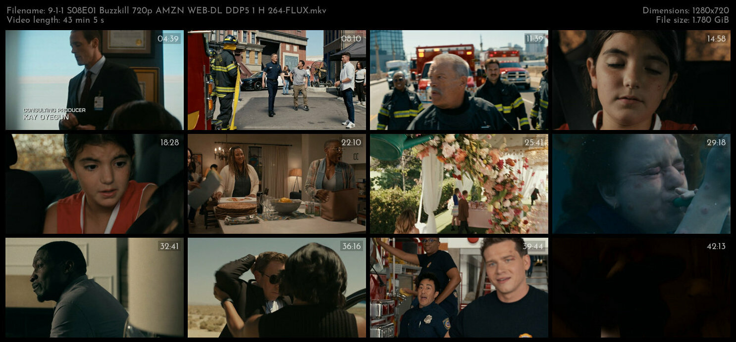 9 1 1 S08E01 Buzzkill 720p AMZN WEB DL DDP5 1 H 264 FLUX TGx