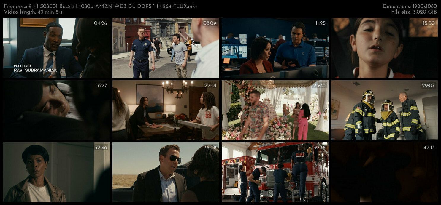 9 1 1 S08E01 Buzzkill 1080p AMZN WEB DL DDP5 1 H 264 FLUX TGx