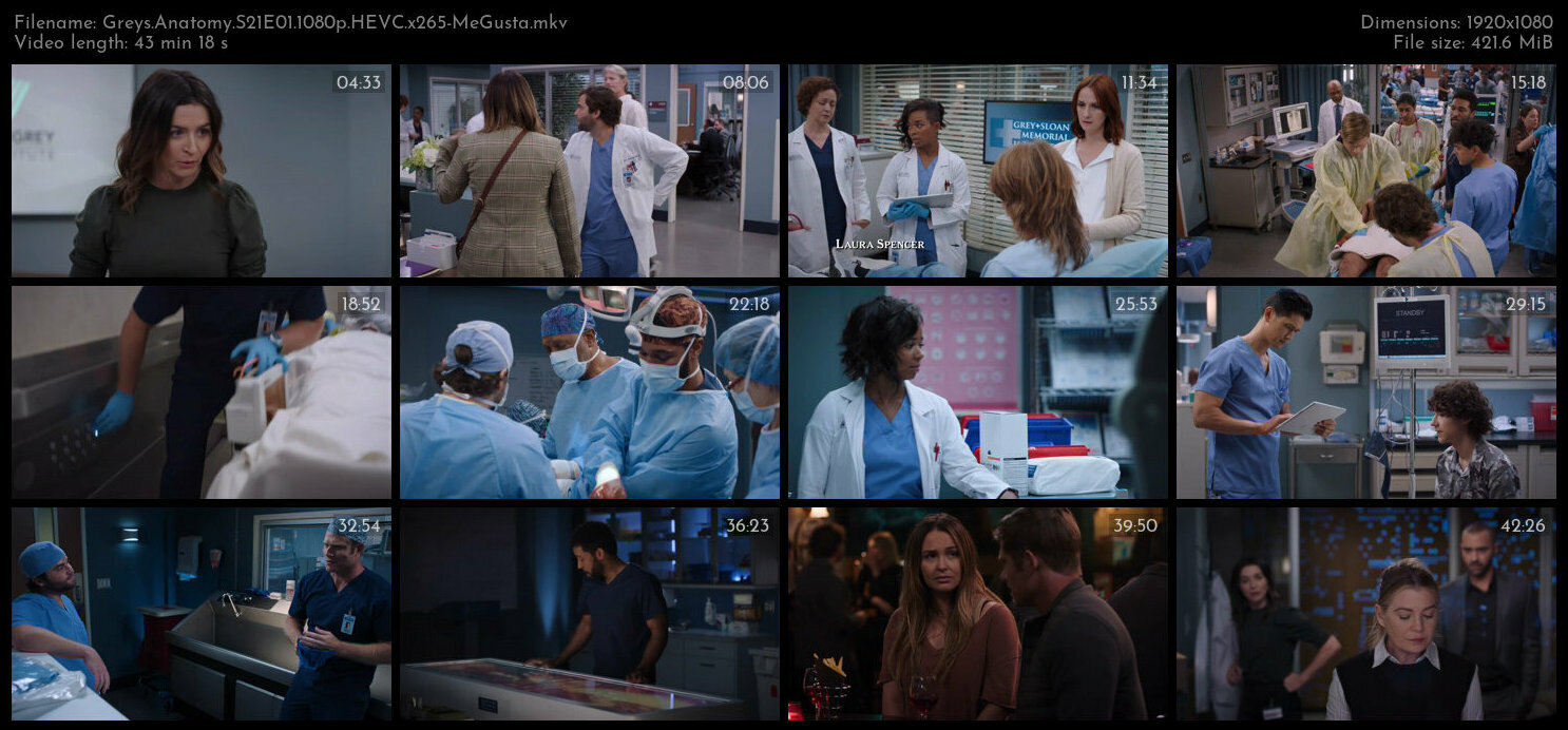 Greys Anatomy S21E01 1080p HEVC x265 MeGusta TGx