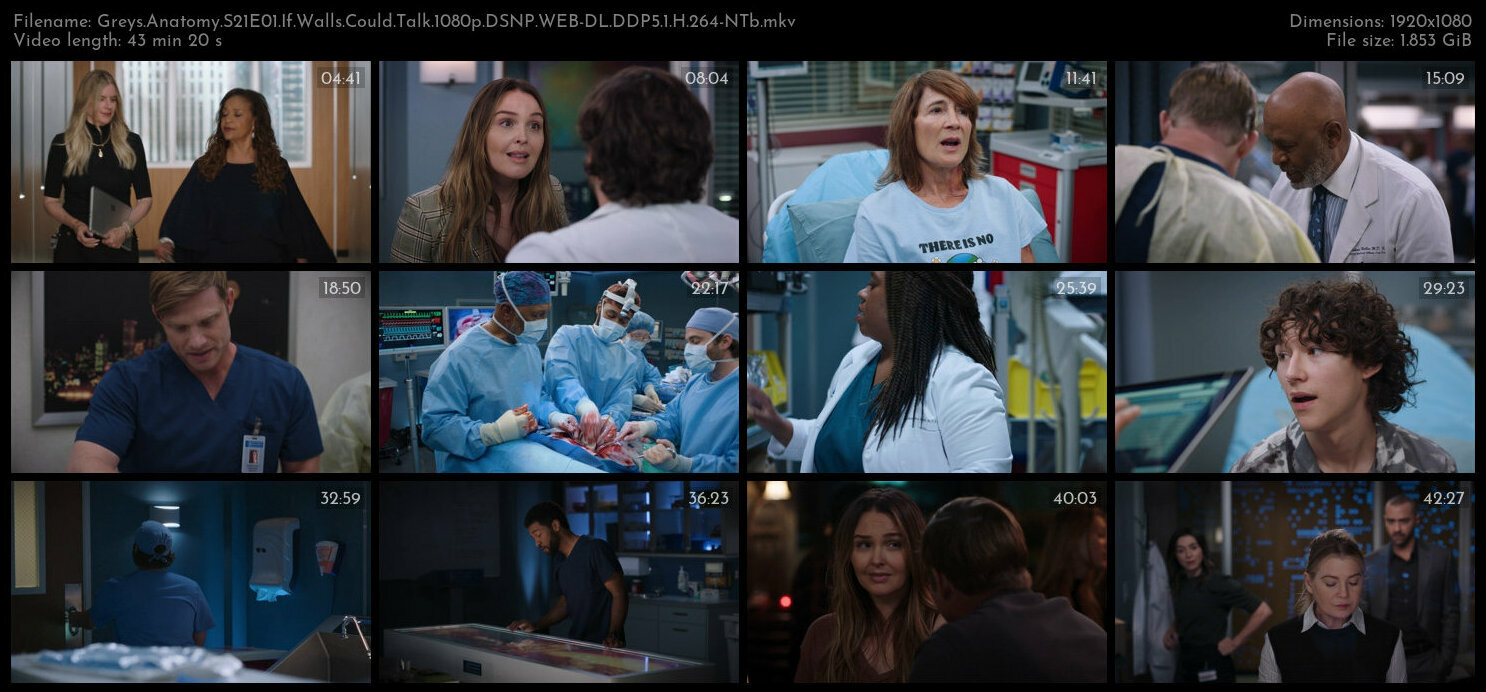 Greys Anatomy S21E01 If Walls Could Talk 1080p DSNP WEB DL DDP5 1 H 264 NTb TGx