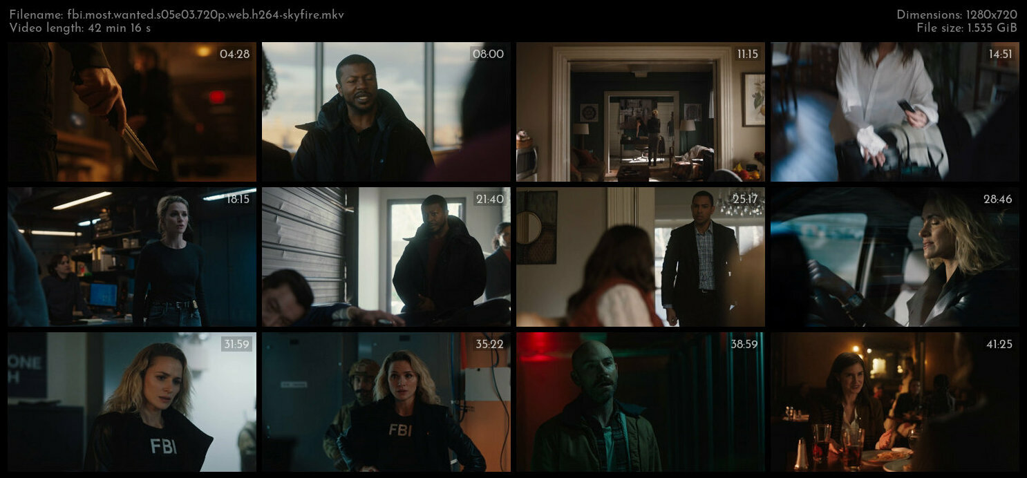 FBI Most Wanted S05E03 720p WEB H264 SKYFiRE TGx